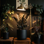 Gothic Gardening: Schwarze Pflanzen für Ihr Zuhause